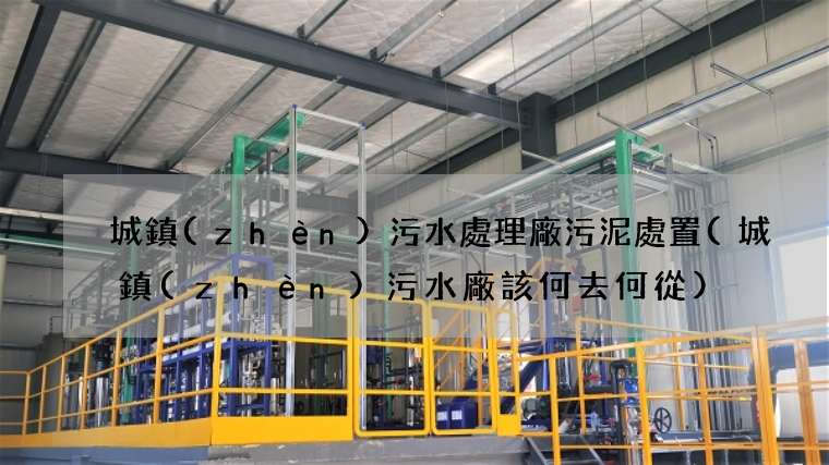 城鎮(zhèn)污水處理廠污泥處置(城鎮(zhèn)污水廠該何去何從)